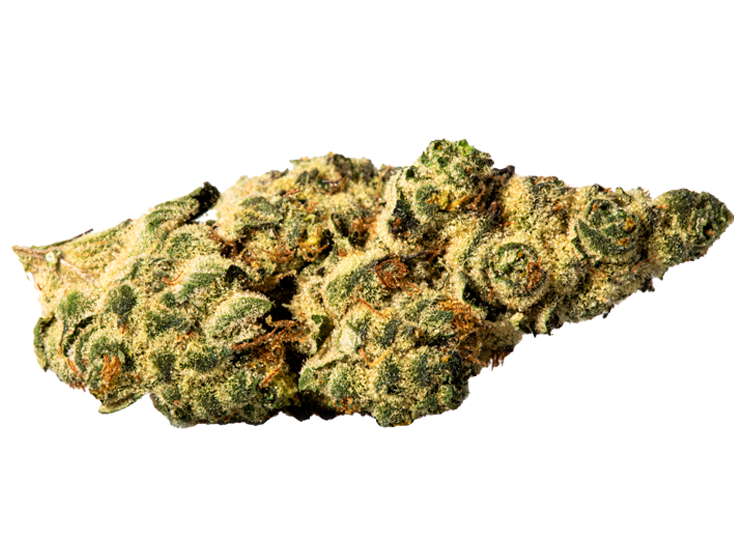 BlackBerry Champagne Strain New