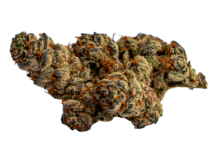 Glitter Bomb Strain New