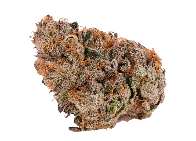 GMOZK Strain