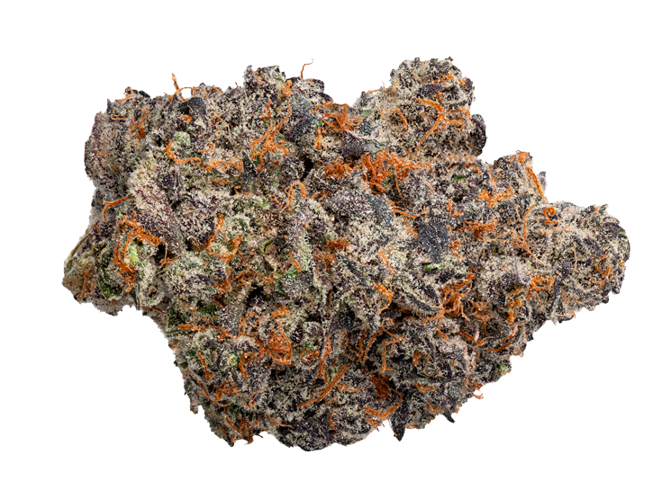 Gorilla Cookies Strain