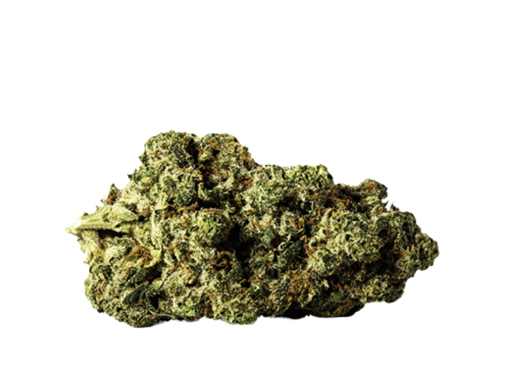 Inzane n the Membrane #3