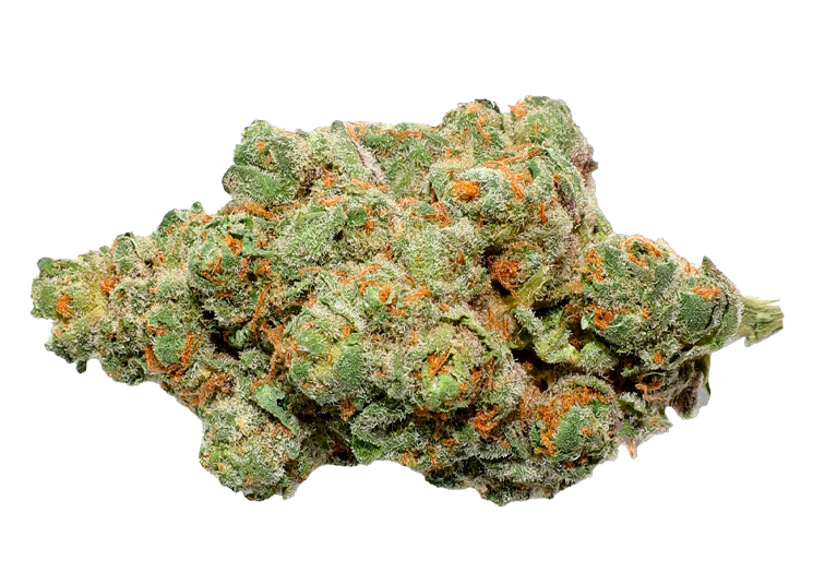 Lemon Cherry Gelato Strain New