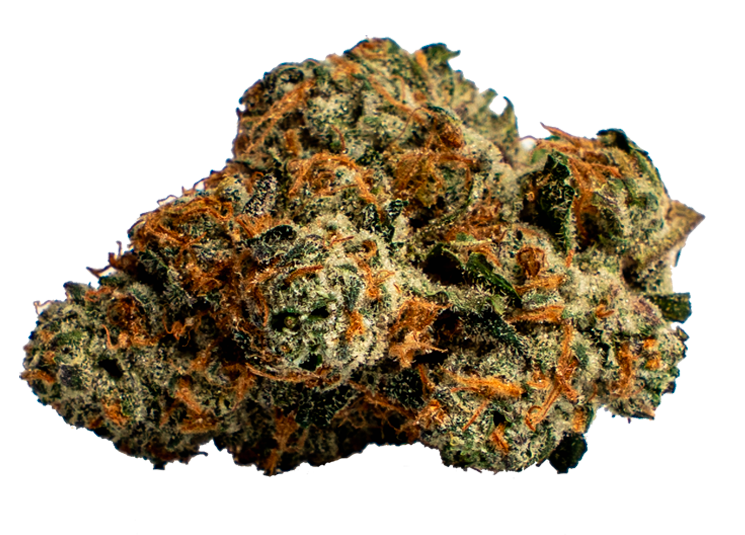 Black Amber Strain New