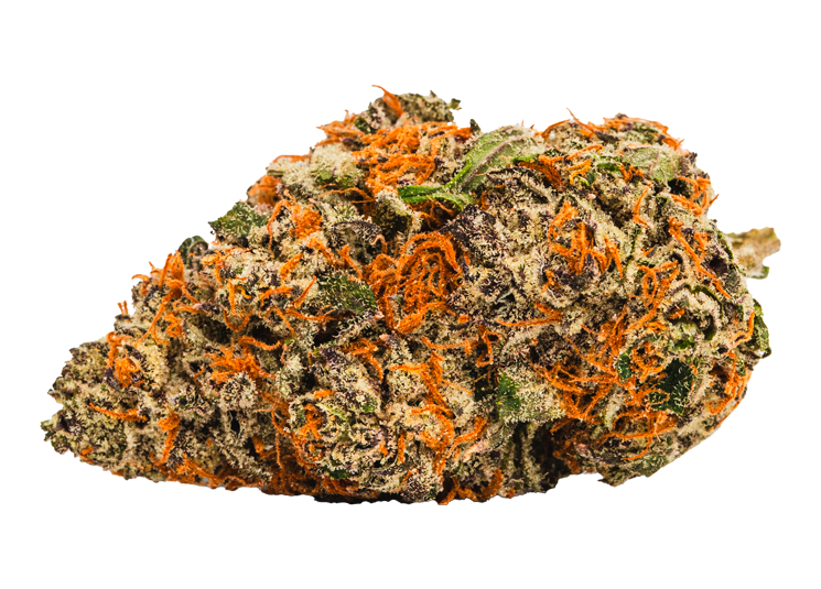 Ice Box Pie Strain New