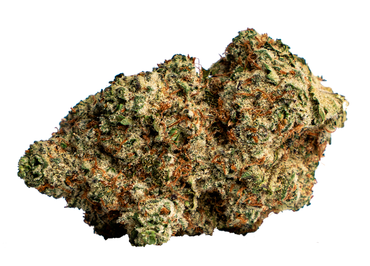 Ice Widow Strain New