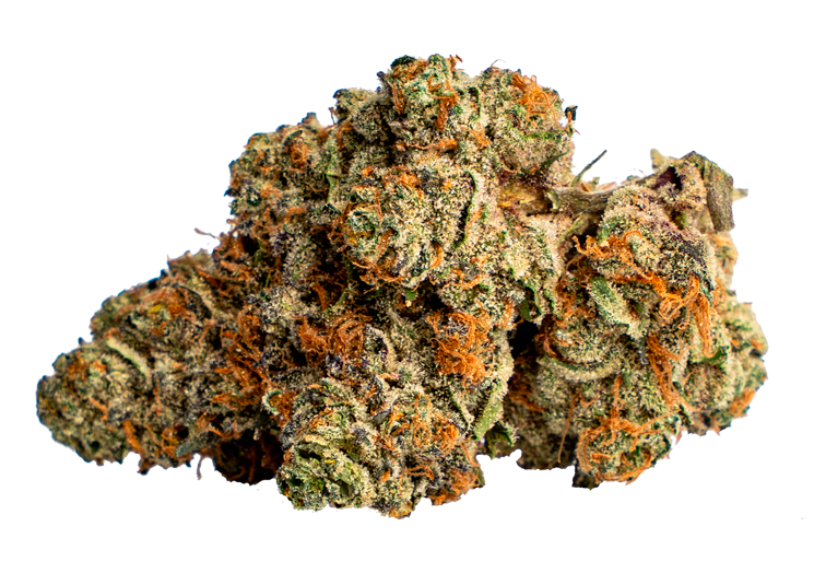 Orange Kush Strain New