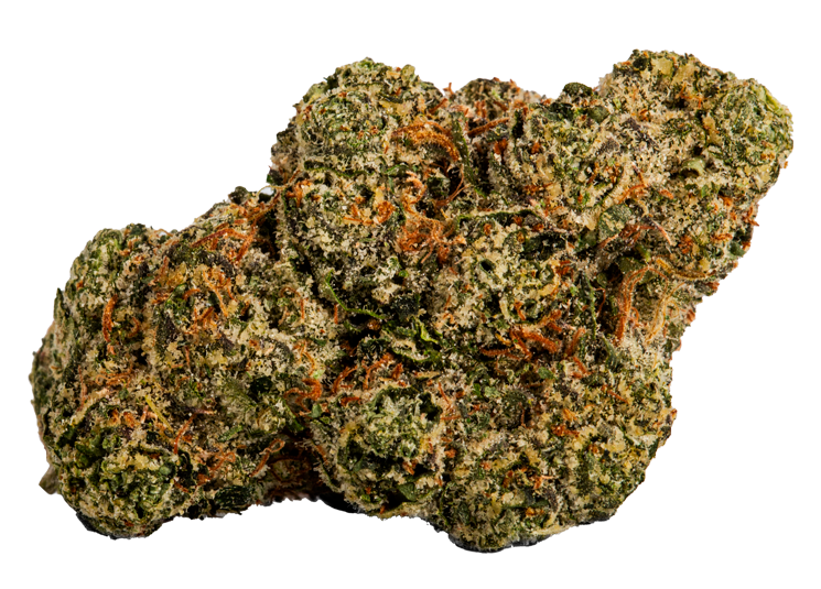 Rainbow RTZ Strain New