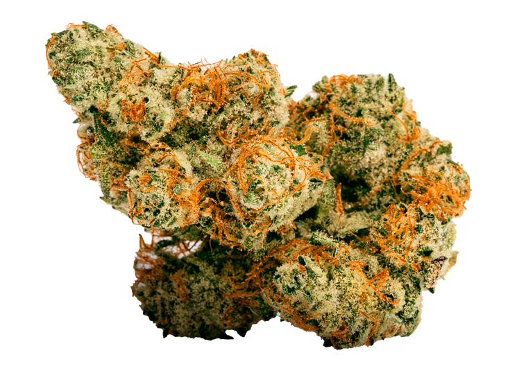 Silver Project Strain New