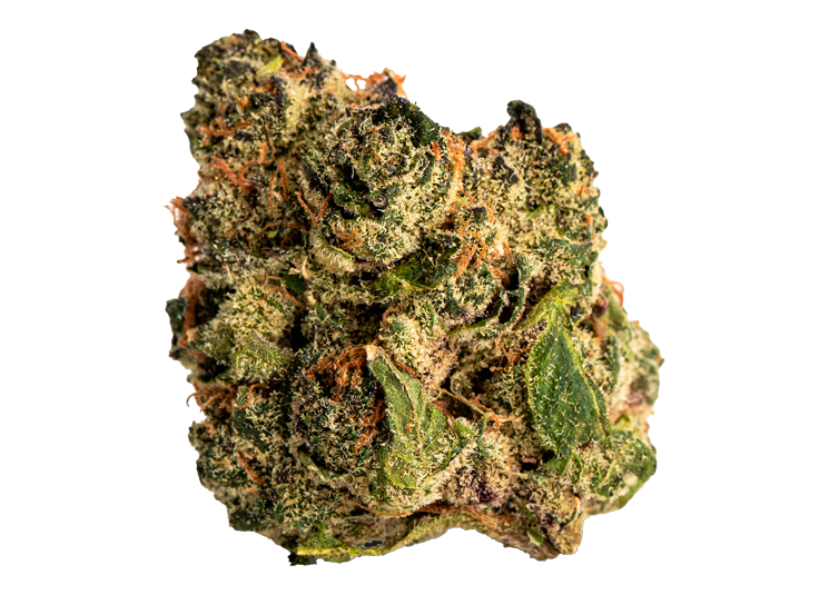 Stuffed Cherry Gelato Strain New