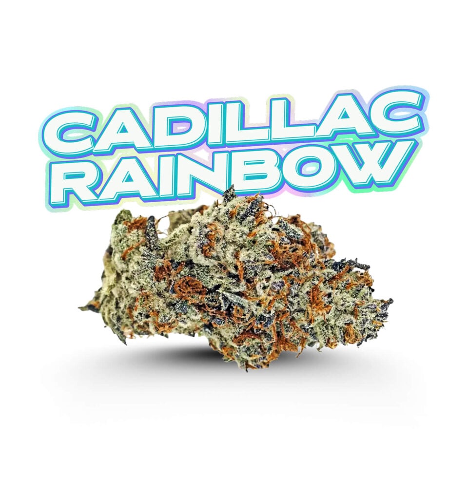 Strain Cadillac Rainbow Big