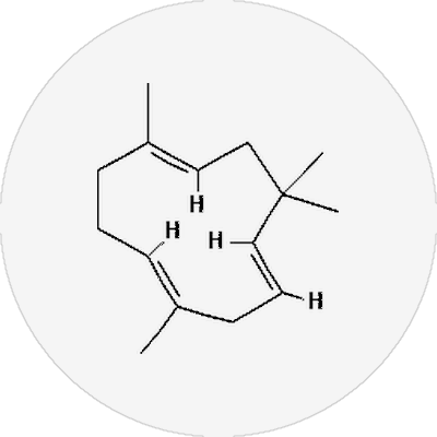 Humulene molecule