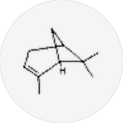 Pinene molecule
