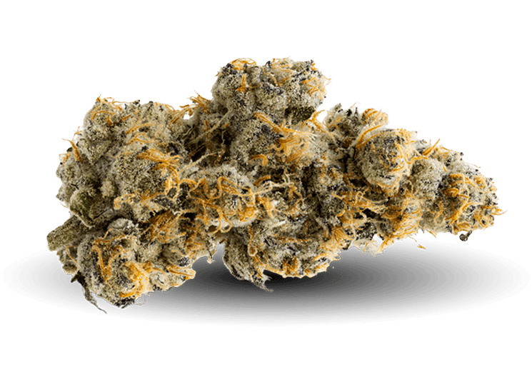Dirty 30 Just Nug tin