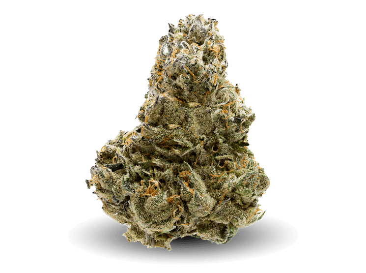 Mafia Funeral Just Nug
