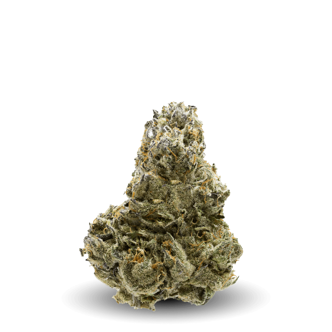 Mafia Funeral Nug
