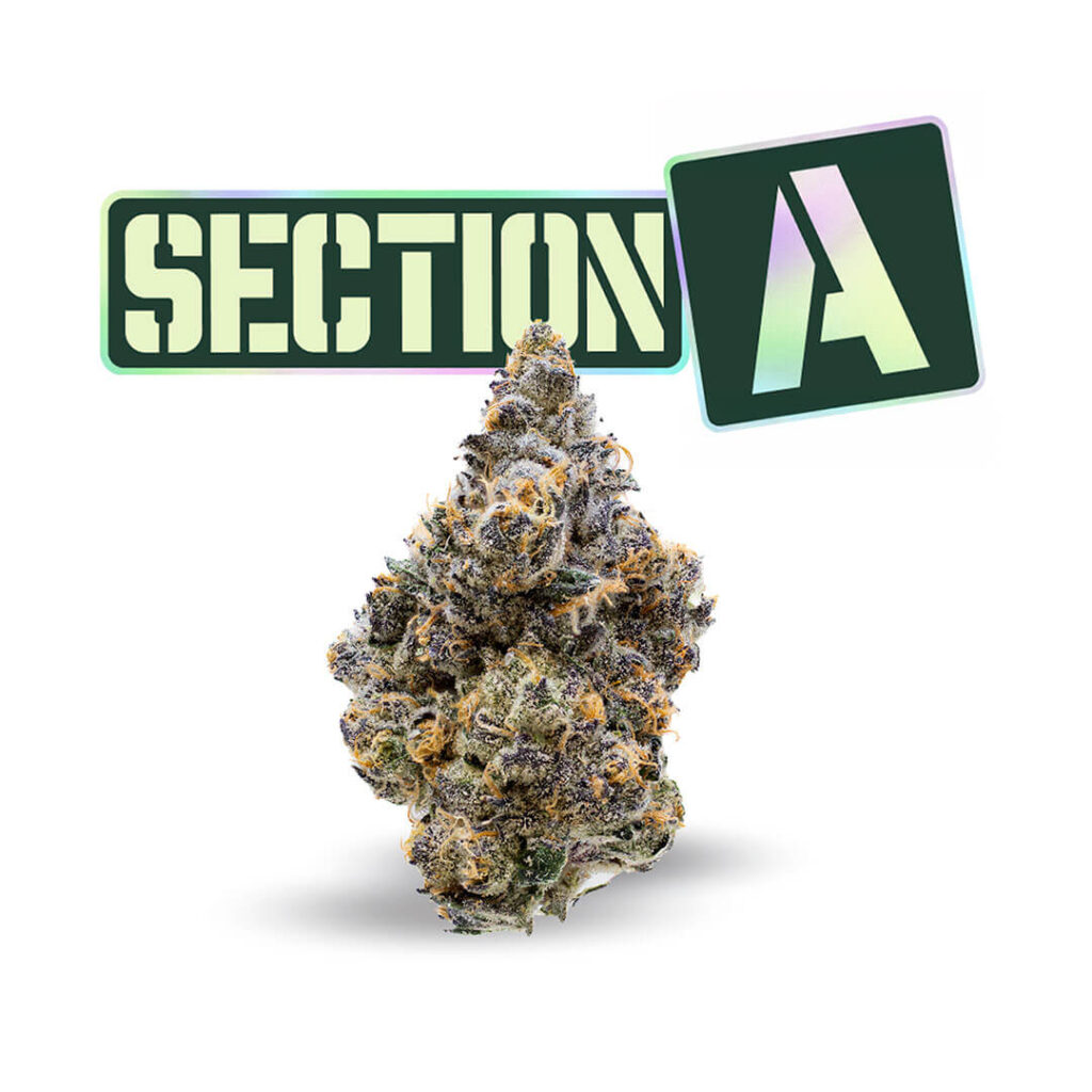 Section A PRODUCT MENU IMAGE