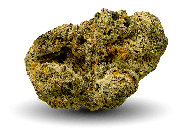 Snoop Dog OG Just Nug