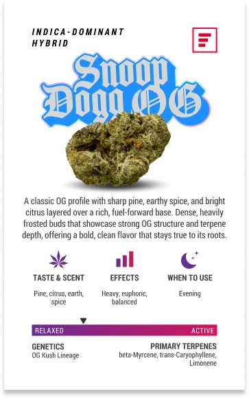 Snoop Dogg OG Trading Card 3x5 Back