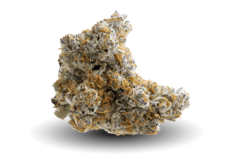 Zcake x Creamsicle Just Nug