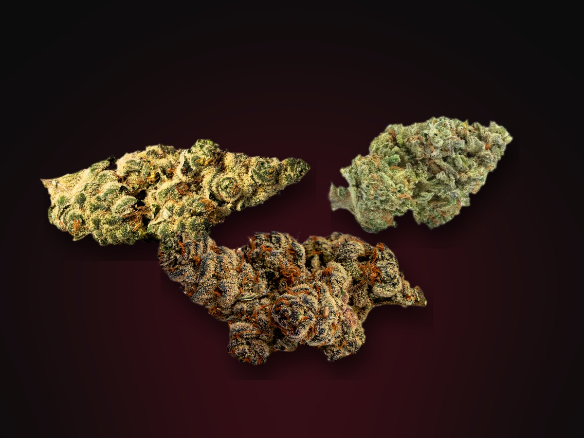 Blackberry Champagne, Grape Dosi and Glitter Bomb cannabis buds, Fade Co. berry strains