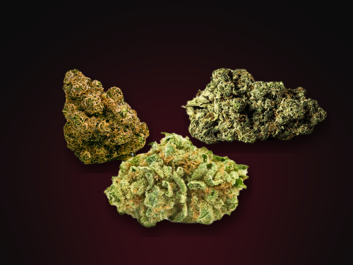 Super Boof, Inzane n' the Membrane #3 and Golden Lemons cannabis buds, Fade Co. citrus strains